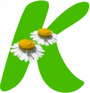 gallery/Kistler K Alt